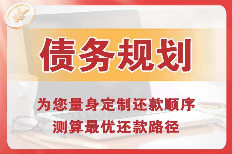 龙胜债务规划